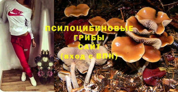 ALPHA-PVP Алексеевка