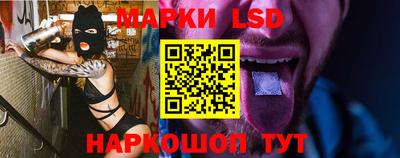 прущие грибы Камышлов