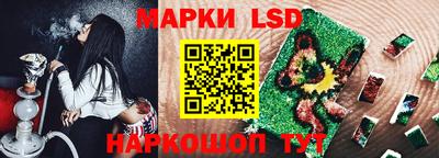 прущие грибы Камышлов