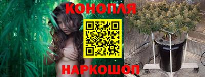 прущие грибы Камышлов