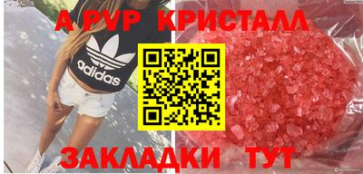 прущие грибы Камышлов
