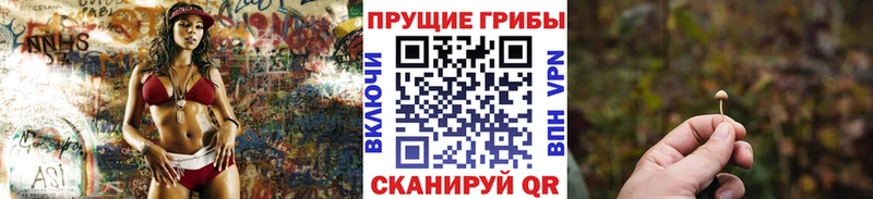 мега сайт  Магадан  Галлюциногенные грибы прущие грибы 