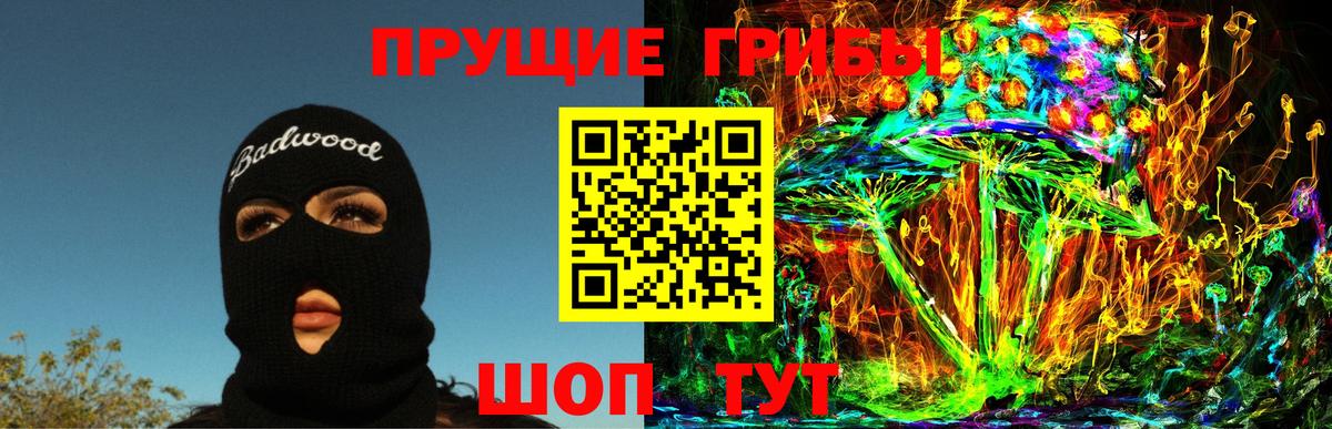 Магадан  Псилоцибиновые грибы MAGIC MUSHROOMS  Псилоцибиновые грибы мицелий  Вход с VPN 