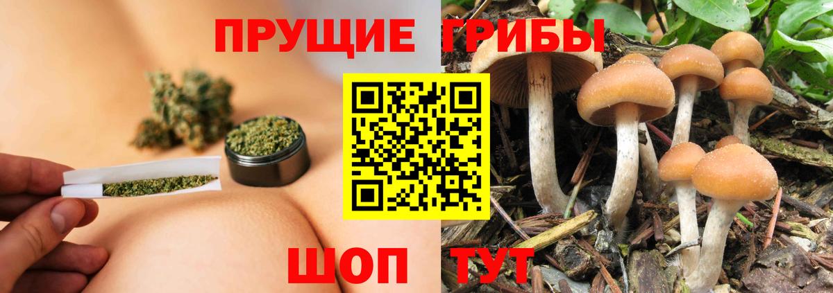 Псилоцибиновые грибы Magic Shrooms Магадан